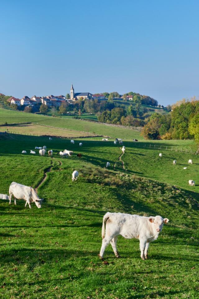 Patrimoine du Pays Voironnais