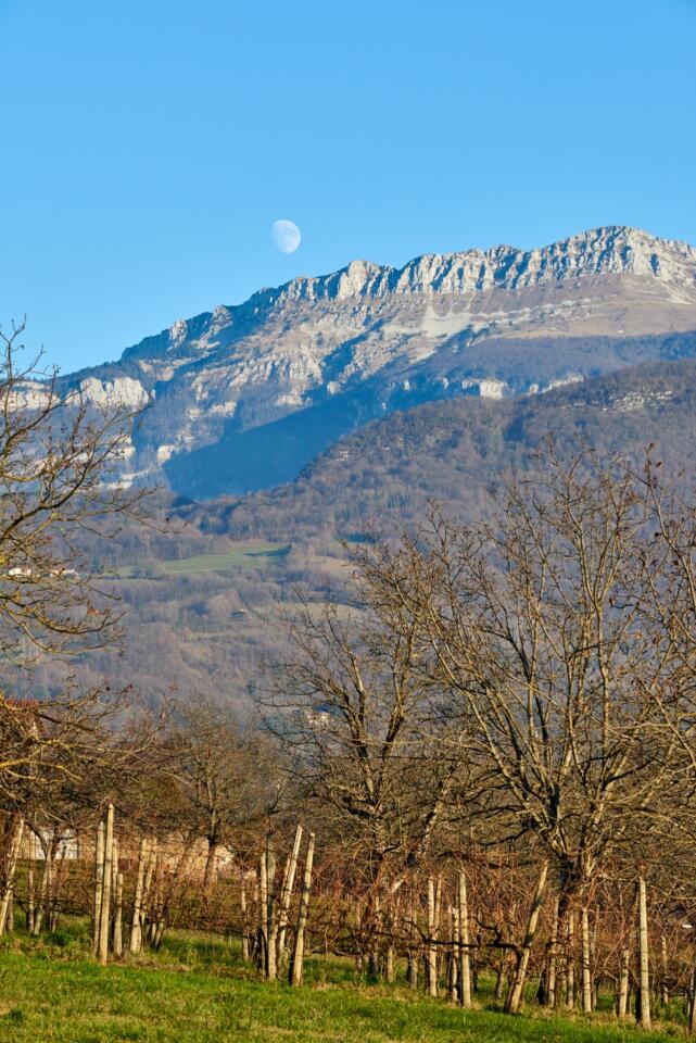 Patrimoine du Pays Voironnais