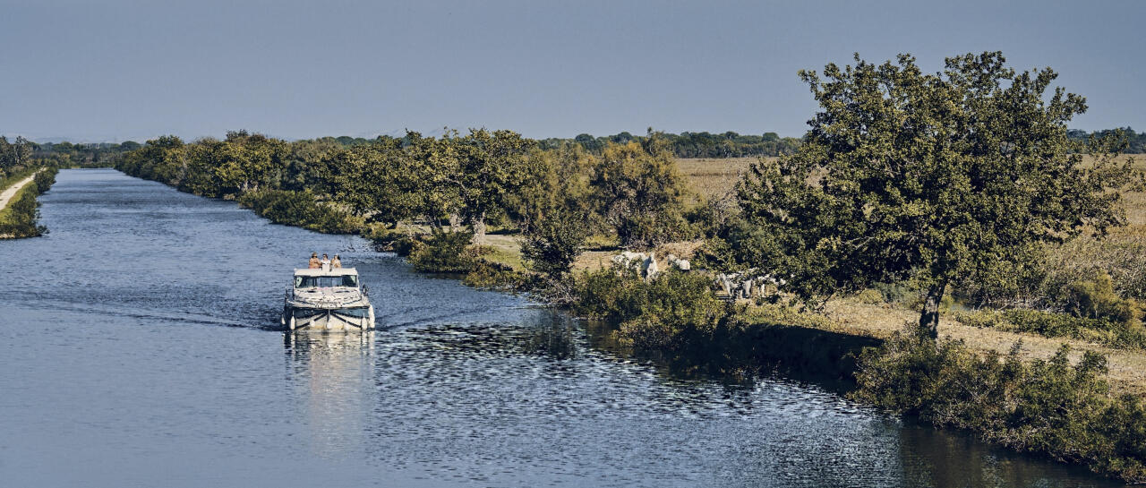 Tourisme fluvial en Camargue