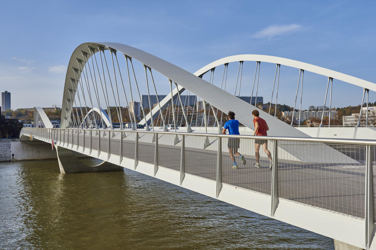Pont Schuman, Lyon
