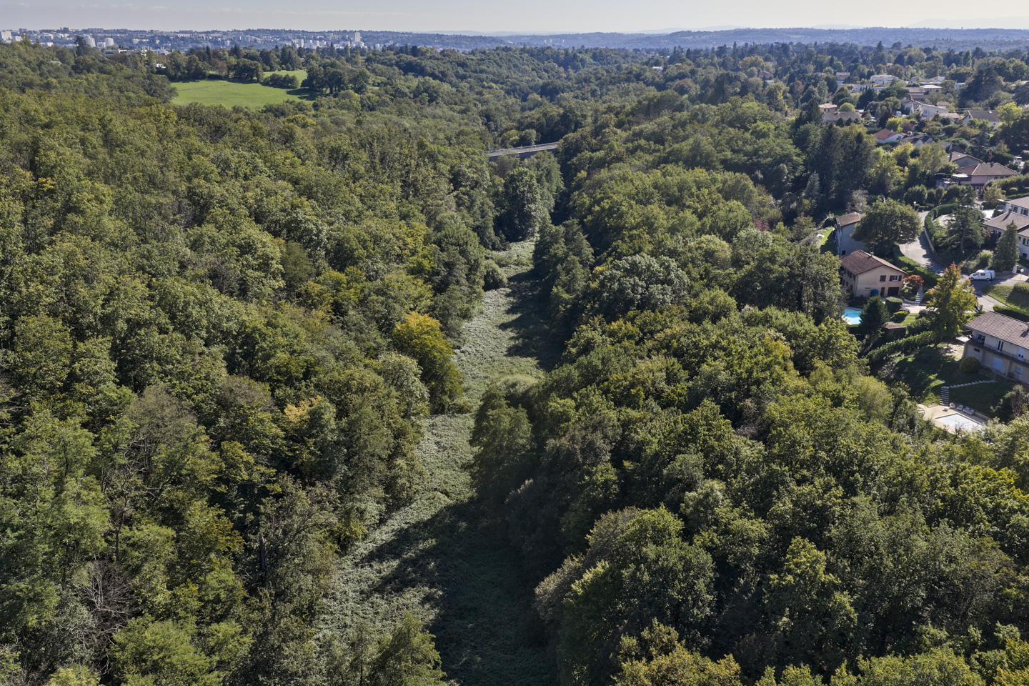 Renaturation du Ruisseau des Planches