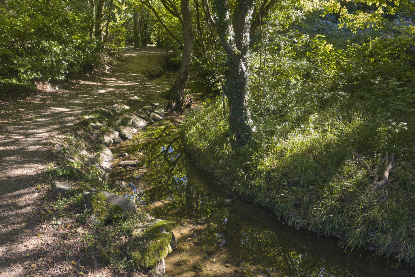 Renaturation du Ruisseau des Planches
