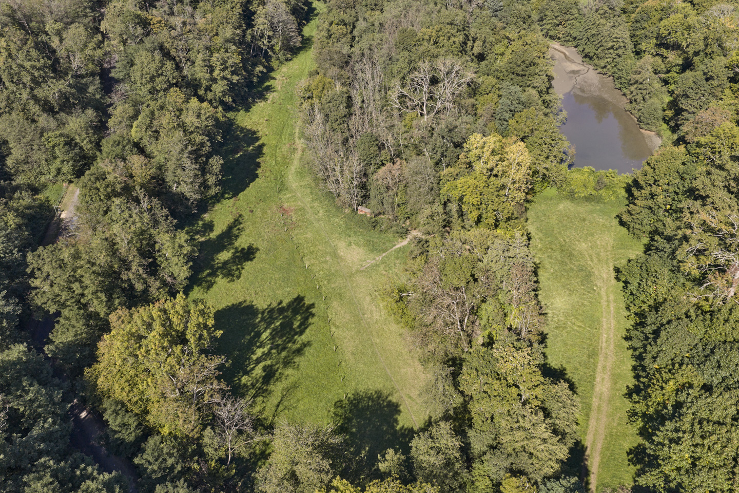 Renaturation du Ruisseau des Planches