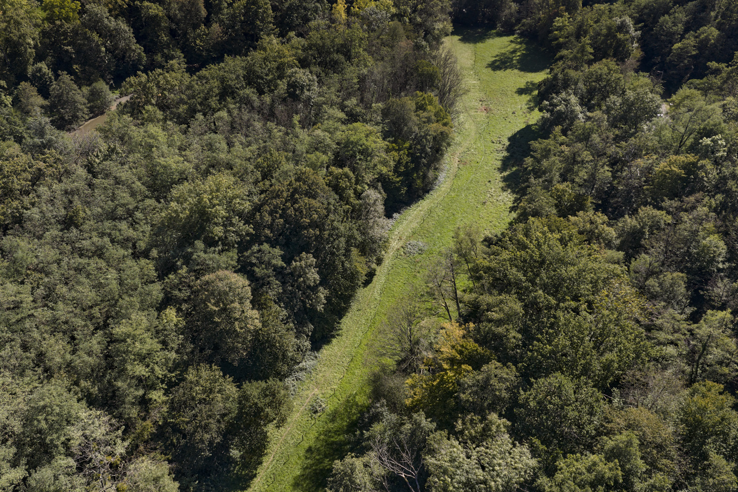 Renaturation du Ruisseau des Planches