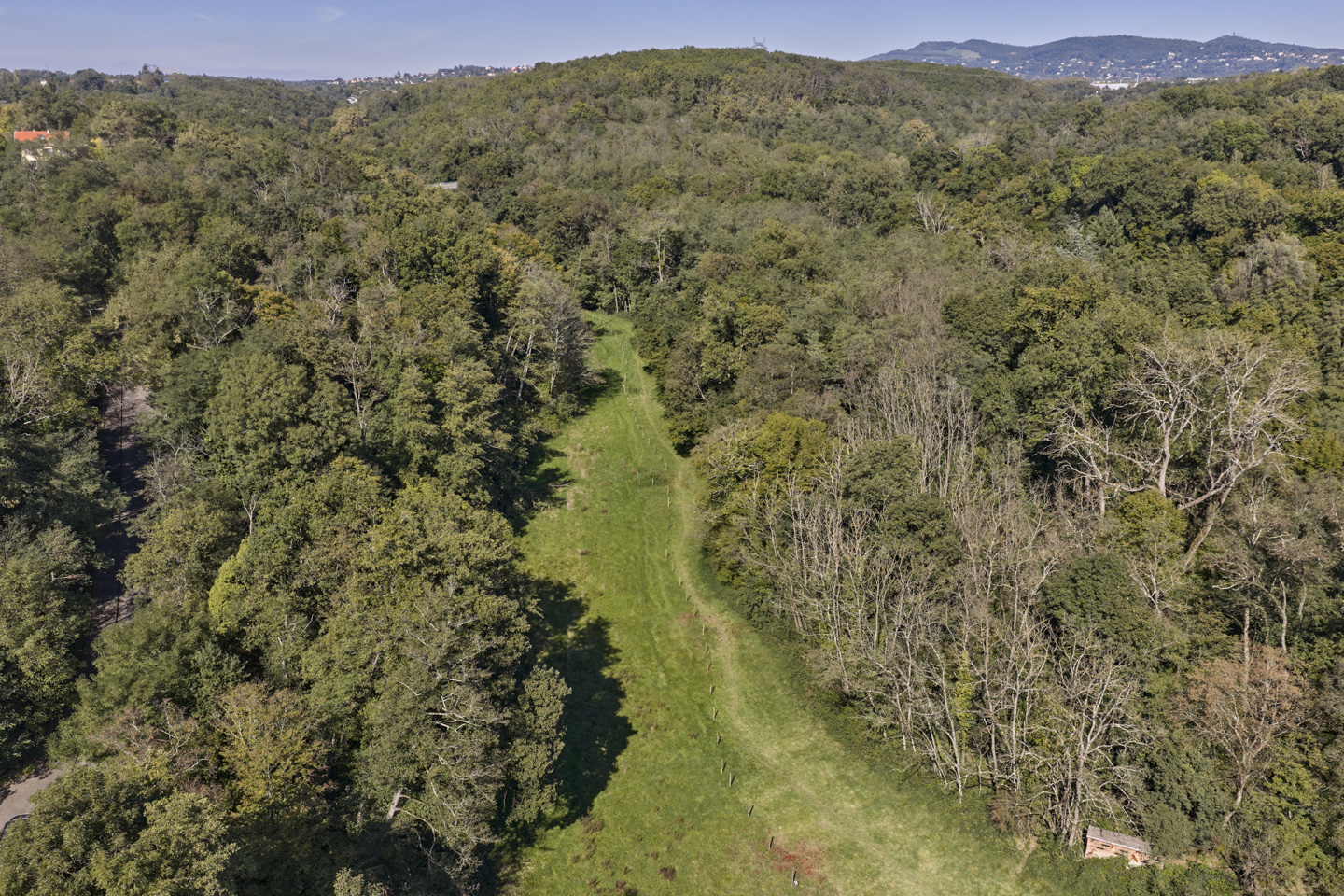 Renaturation du Ruisseau des Planches